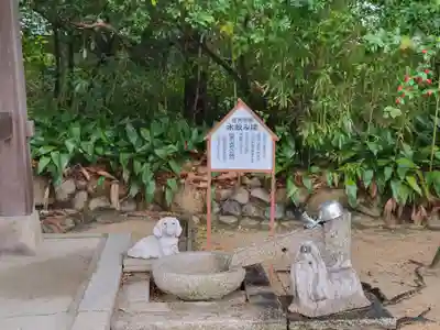 弓弦羽神社(兵庫県)