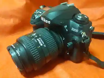 増上寺(東京都)