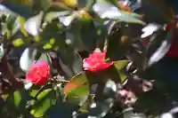滑川神社 - 仕事と子どもの守り神の自然