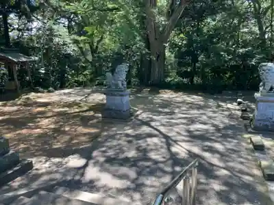神崎神社(千葉県)