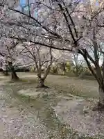 貴船神社の自然