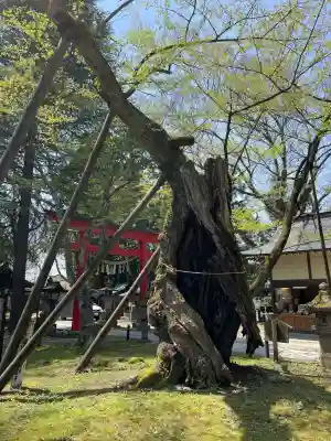 蠶養國神社(福島県)