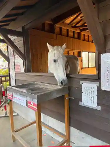 鹿児島神宮(鹿児島県)