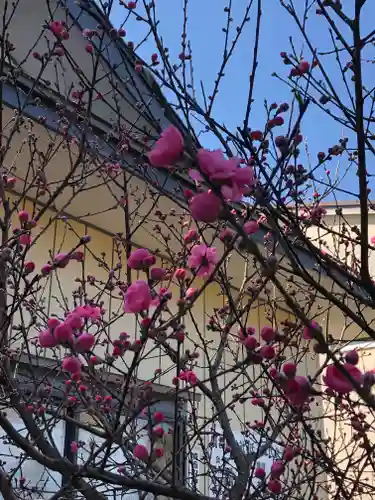 境香取神社の自然