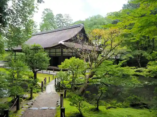 南禅院の庭園