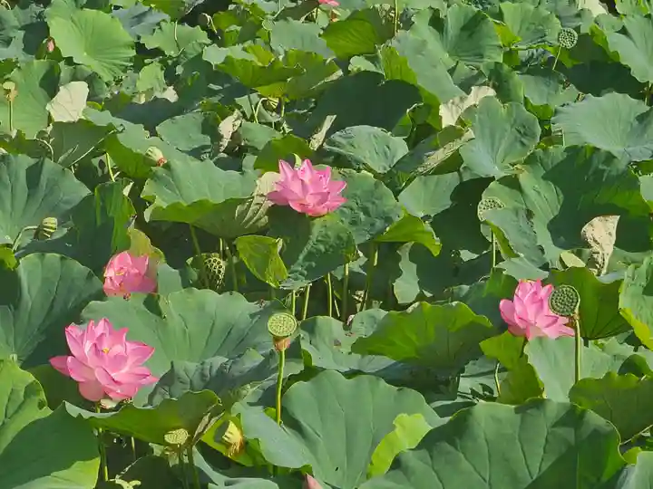 善光寺大勧進(長野県)