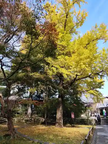 竹林寺(高知県)
