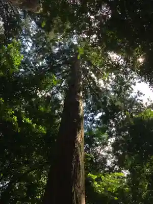 椿大神社(三重県)
