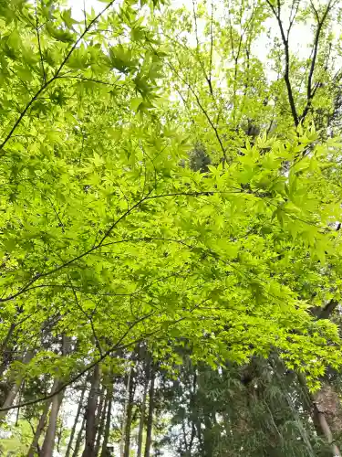 新倉富士浅間神社の{uncategorized: "未分類", other: "その他", undefined: "問題あり", building: "その他建物", grave: "お墓", sacred_gate: "鳥居", guardian: "狛犬", statue: "像", buddha: "仏像", history: "歴史", nature: "自然", garden: "庭園", animal: "動物", pagoda: "塔", temizu: "手水舎", mountain_gate: "山門・神門", sanctuary: "本殿・本堂", subordinate: "末社・摂社", art: "芸術", scenery: "景色", jizo: "地蔵", ema: "絵馬", goshuin: "御朱印", omikuji: "おみくじ", items: "授与品その他", amulet: "お守り", goshuincho: "御朱印帳", eats: "食事", festival: "お祭り", votive_dance: "神楽", shichigosan: "七五三参", wedding: "結婚式", experience: "体験その他", initially: "初詣", around: "周辺", anti_infection: "感染症対策"}
