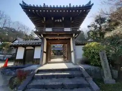 光雲寺の{uncategorized: "未分類", other: "その他", undefined: "問題あり", building: "その他建物", grave: "お墓", sacred_gate: "鳥居", guardian: "狛犬", statue: "像", buddha: "仏像", history: "歴史", nature: "自然", garden: "庭園", animal: "動物", pagoda: "塔", temizu: "手水舎", mountain_gate: "山門・神門", sanctuary: "本殿・本堂", subordinate: "末社・摂社", art: "芸術", scenery: "景色", jizo: "地蔵", ema: "絵馬", goshuin: "御朱印", omikuji: "おみくじ", items: "授与品その他", amulet: "お守り", goshuincho: "御朱印帳", eats: "食事", festival: "お祭り", votive_dance: "神楽", shichigosan: "七五三参", wedding: "結婚式", experience: "体験その他", initially: "初詣", around: "周辺", anti_infection: "感染症対策"}