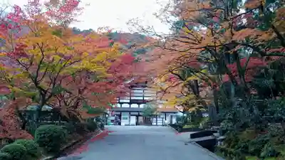 南禅寺のその他建物