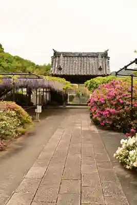 長泉寺(埼玉県)