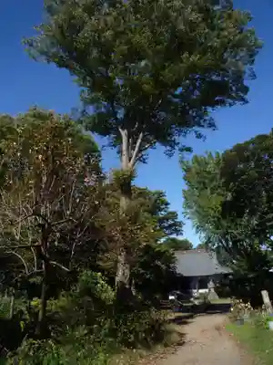 万蔵院(茨城県)