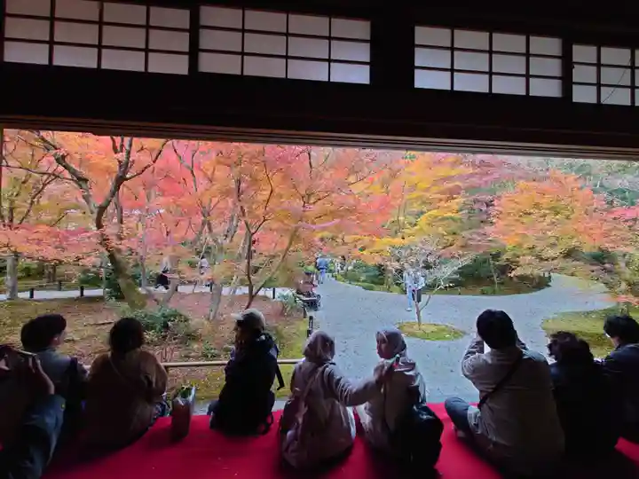 圓光寺(京都府)