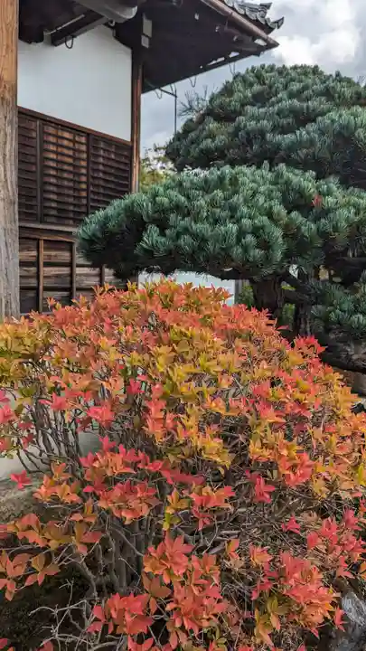 妙満寺(京都府)