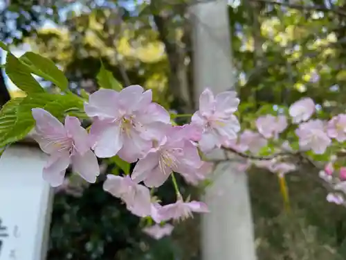 諸口神社の自然