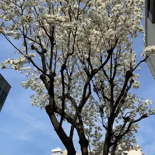 靖國神社(東京都)