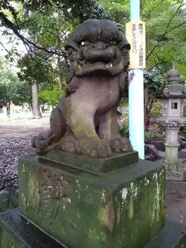 峯ヶ岡八幡神社の狛犬