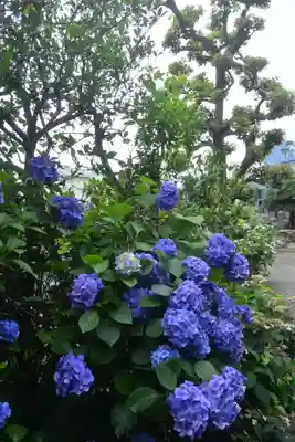 宝祥寺(東京都)