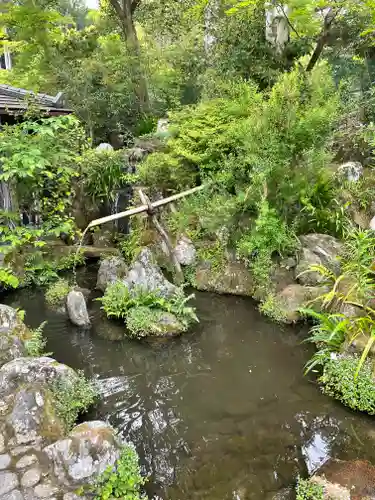 宝泉院の庭園
