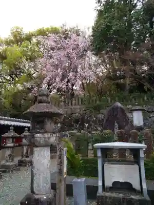 本妙寺(熊本県)