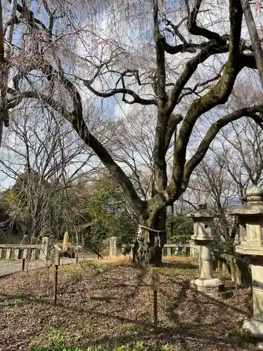 大石神社の自然
