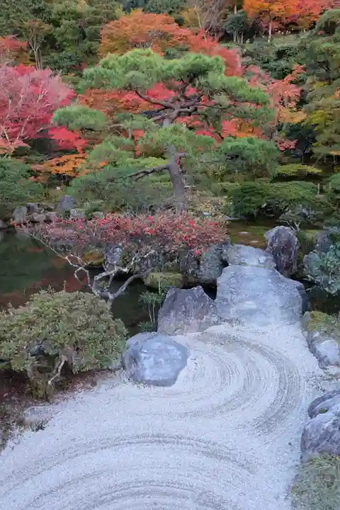 慈照寺(慈照禅寺・銀閣寺)(京都府)
