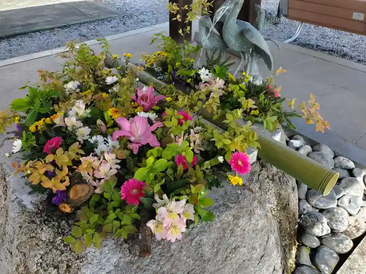 白鷺神社の手水舎
