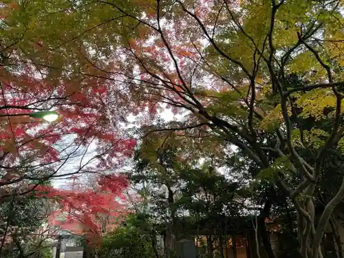 秋葉山量覚院の自然