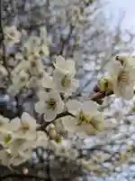 石内のお大師さん 金剛院(広島県)