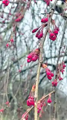 浄居寺(山梨県)