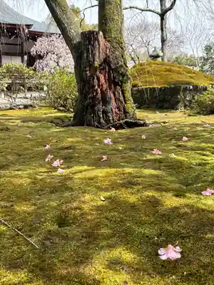 天龍寺(京都府)