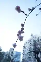 湯島天満宮(東京都)