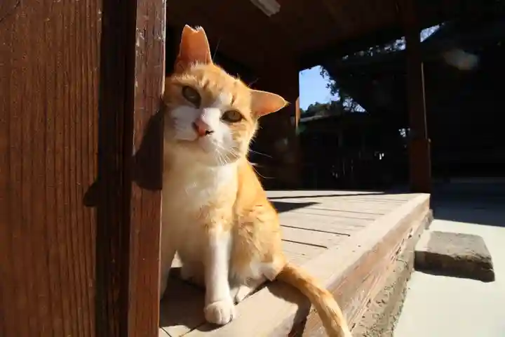唐澤山神社(栃木県)