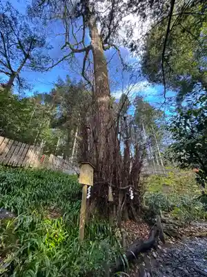 貴船神社結社(京都府)