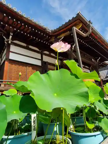 善導寺(福島県)