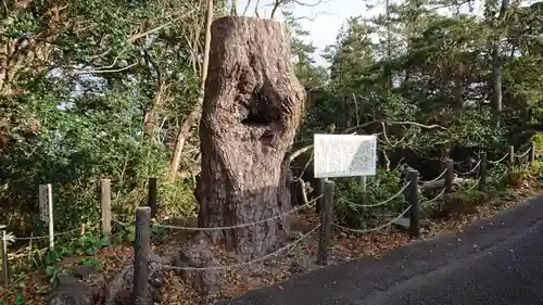 蓮着寺(静岡県)