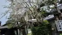 祐正寺(京都府)