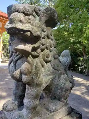 春日神社の狛犬