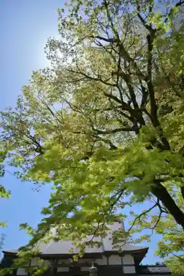 妙高寺(新潟県)