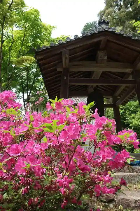 桑実寺(滋賀県)