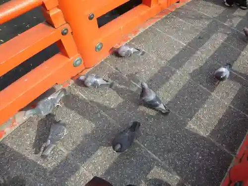 神泉苑(京都府)