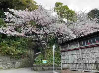 愛宕神社(神奈川県)
