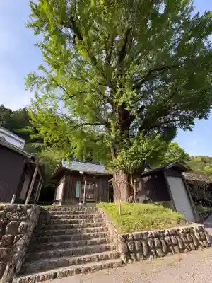 谷口神社の本殿・本堂