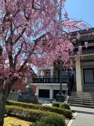 浄得寺の景色