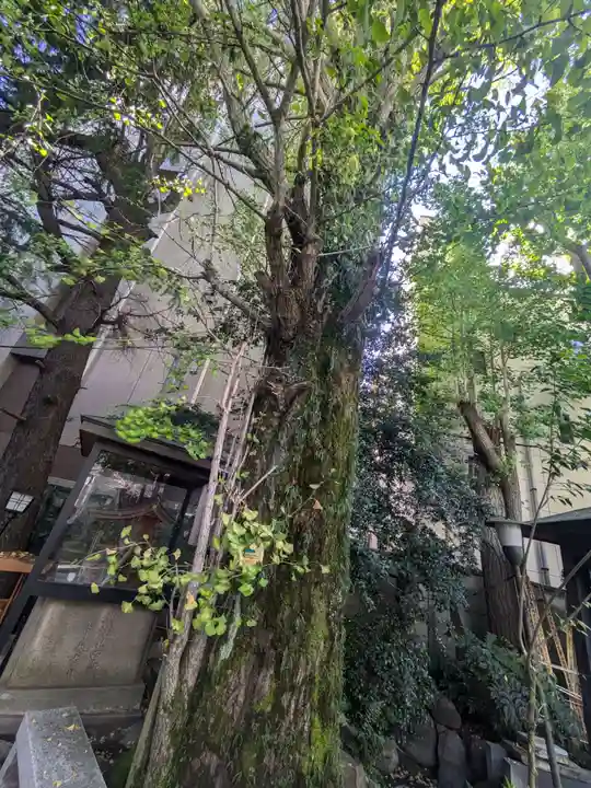 本覚寺(東京都)