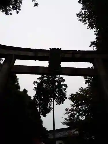 白鷺神社の鳥居