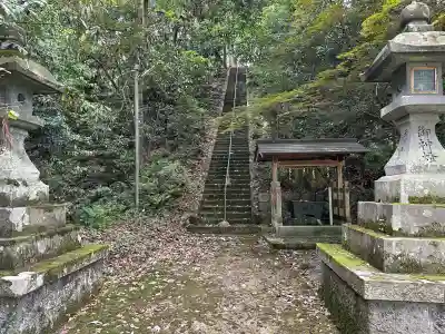 男坂神社の自然