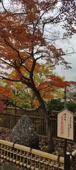 師岡熊野神社(神奈川県)