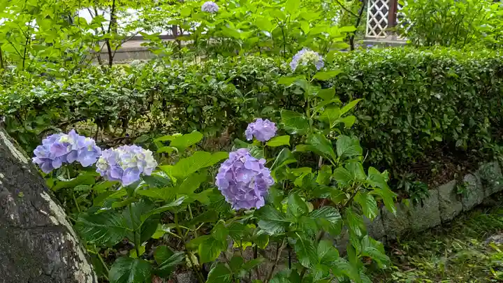 真正極楽寺(真如堂)(京都府)